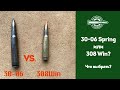 30-06 или 308Win?