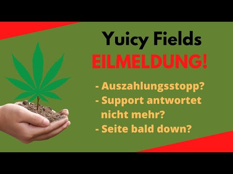 ?Juicy Fields Streik - Eigenartiger Zufall oder ist da doch mehr dahinter??