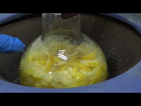 OKL2 Su Buharı Damıtması, Sürekli su buharı damıtma sistemi ile Limondan Limonen eldesi (İlker AVAN)