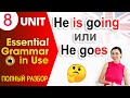 Unit 8 Сравнение present simple и present continuous, отличия и особенности | Ok English Elementary