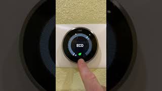 Nest Thermostat I Hate You