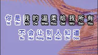 刘德华  《 你是我的温柔 》  ni shi wo de wen rou