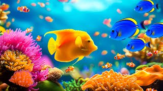 Relaxing Music to Relieve Stress, Anxiety and Depressive States 🐠 Tender Music, Calms the Mind