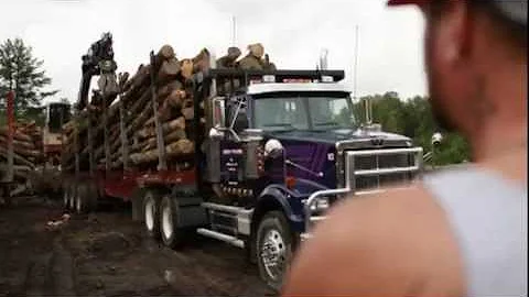 American Loggers Choose Western Star Trucks at MAT...