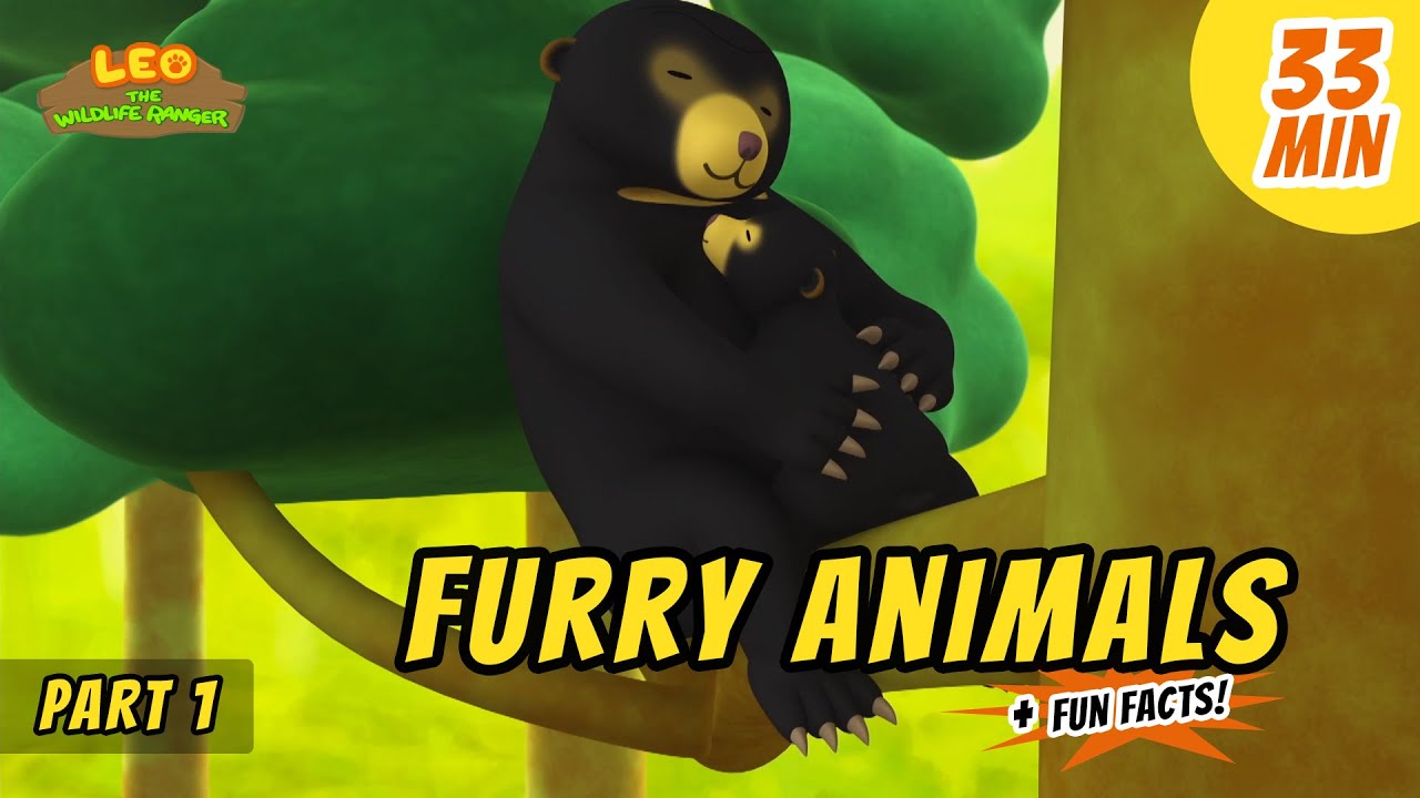 Furry Animals (Part 1/5) - Exciting & Educative Animals Stories