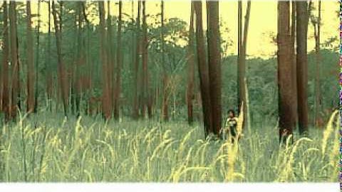 CR SD V66 mpg 0006.mpg