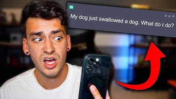 Asking AI Ridiculous Questions...