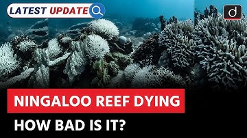 Ningaloo Reef Crisis | Coral Bleaching | Latest Update | Drishti IAS English