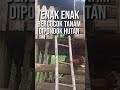 Enak enak || bercocok tanam di pondok hutan - #shorts