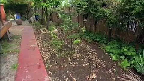HGTV Landscapers' Challenge with Laura Morton