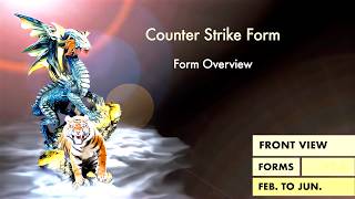 Counter Strike Form (AIK V2.0) - Form Overview - Back View