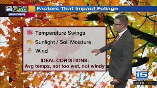 Fall Foliage Outlook
