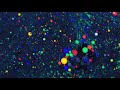 신촌길냥이 - 우주(The Universe)[Official M/V]