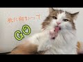 何があった!?