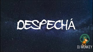 Despechá Rosalía Lyrics