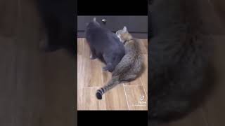 2024 оны 1-р сарын 24