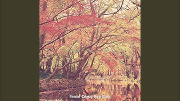 Sumptuous Backdrops for Inner Peace