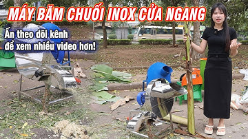 Siêu phẩm MỚI - TOP 1 Máy Băm Chuối Siêu Rẻ Tại Bình Quân - Máy Băm Chuối Cửa Ngang
