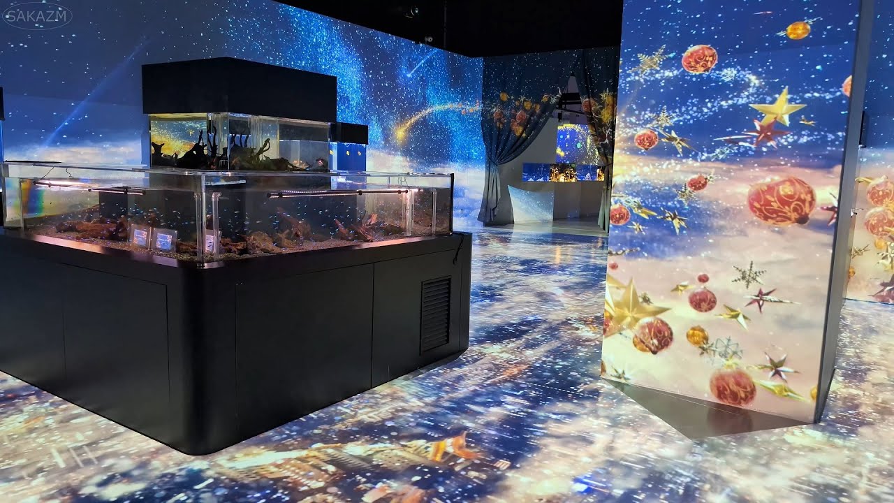 4K】マクセル アクアパーク品川 2024クリスマス「NAKED STAR AQUARIUM