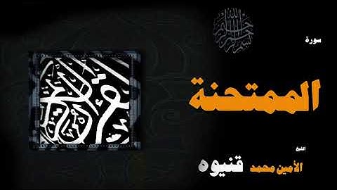 القران الكريم بصوت الشيخ الامين محمد قنيوة | سورة الممتحنة