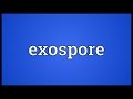 Exospore Meaning