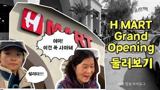 Hmart North Park Grand opening H Mart Go Shopping with me