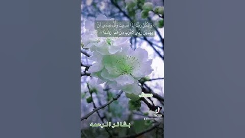 ((وَاذْكُرْ رَبَّكَ إِذَا نَسِيتَ ))#قران_كريم #قران #quran #تلاوات #صلاح_بو_خاطر #واذكر_ربك_