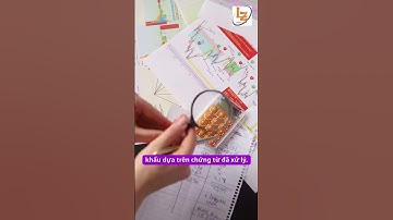 Toàn bộ công việc của kế toán thuế từ A đến Z