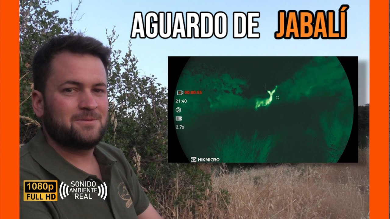 AGUARDO DE JABALÍ 2025 | ANTONIO #3