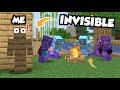 Becoming invisible to take over this minecraft smp