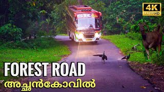 Konni Achankovil Forest Road | Konni Reserve Forest | Achankovil Forest Drive | 4K UHD