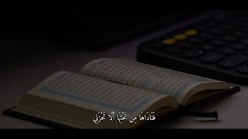 فناداها من تحتها الا تحزني - سورة مريم القارئ شريف مصطفى