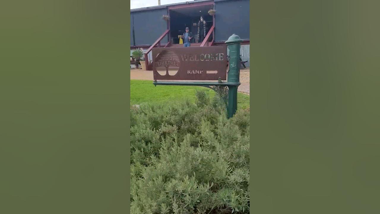 see our lunch at Forktree Brewery southaustralia ribs YouTube