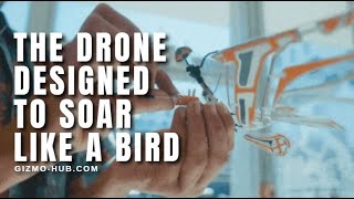 X-Fly : The Drone Designed To Fly Like A Bird | Kickstarter | Gizmo-Hub.com