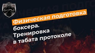 Физическая подготовка боксера. Тренировка в табата протоколе.