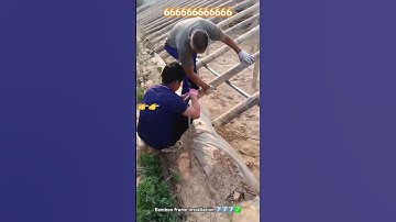 Thumbnail of Extremely using bamboo material building greenhouse