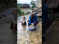 My Rural Life #funny #positiveenergy