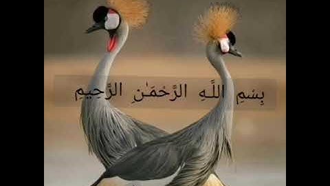 سورة الأعراف صفحة 159 مكررة بصوت الشيخ أيمن سويد