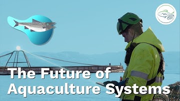 The Future of Aquaculture Systems