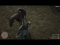 Red Dead Redemption 2 uccidiamo il cinghiale legendario