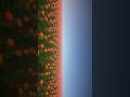 Minecraft texture pack for 1.21.11