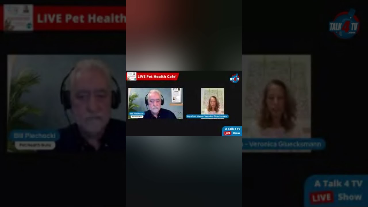 Bill Piechocki discusses hormonal imbalance in pets