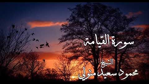 سورة القيامة || القارئ محمود سعيد متولي