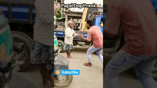 Pagal Dog Frank 😁😆😎 #frank #dogart #reels #explore #purnea #artisticexpression