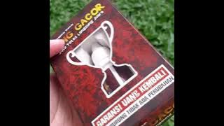 VITAMIN BURUNG BIANG GACOR SEMPATI PENGGACOR MURAI KACER DOPING LOMBA VIRAL