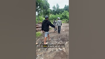 Xẻ rồi là mê - không xê xích được #goangiang #wood #woodworking #gonguyenlieu #gosao