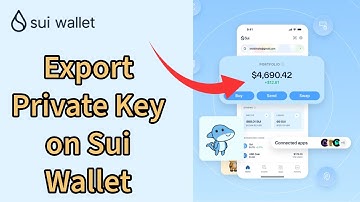How to Export Your Private Key on Sui Wallet Account? 2024
