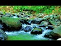 Relaxing River Sounds 🌊 10 Hours Deep Sleep | Nature ASMR White Noise