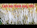 Thêm bước này Giá lên đều mập ú nhanh ăn thành công 100% .