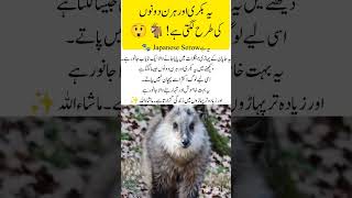 Japanese serow _ Goat or Deer? 😲 #serow #animals #goat #deer #shorts #short #yt #ytshorts #viral #ai